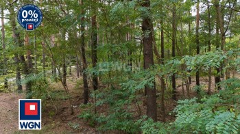 Grunt budowlany jednorodzinny na  sprzedaż Wieliszew - Działka leśno-budowlana